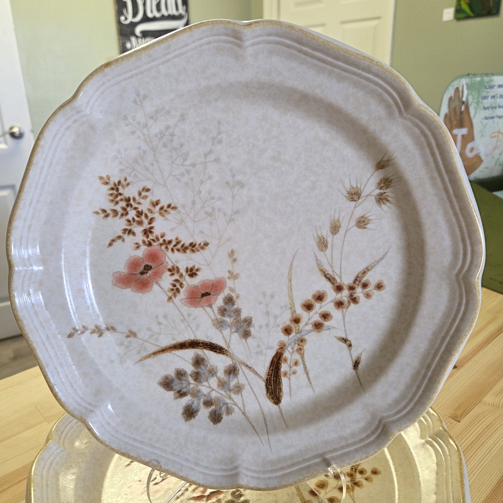 Mikasa Strawflower Dinner Plate